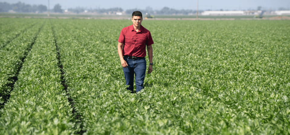 photo of cornelio in a field