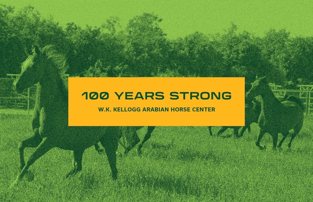 100 years strong W.K. Kellogg Arabian Horse Center