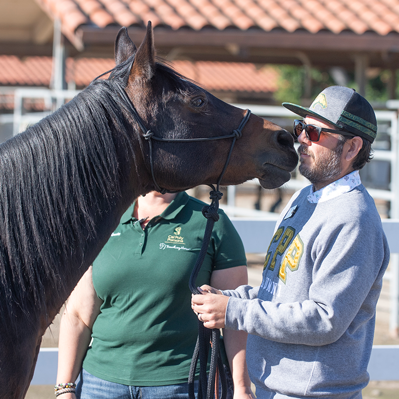 Male TeachingHorse participant gets a Kiss from an Arabian.