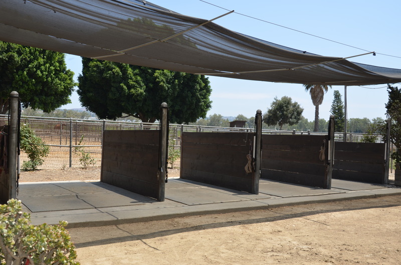 Main barn grooming stalls