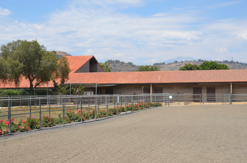 Main barn horse run