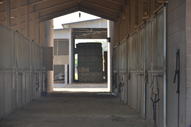 Inside a mare barn