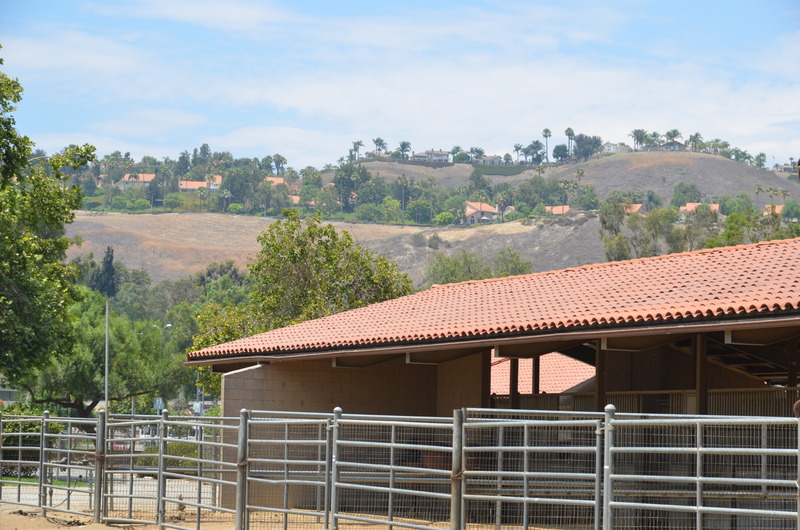 Mare barns with a mountain backdrop