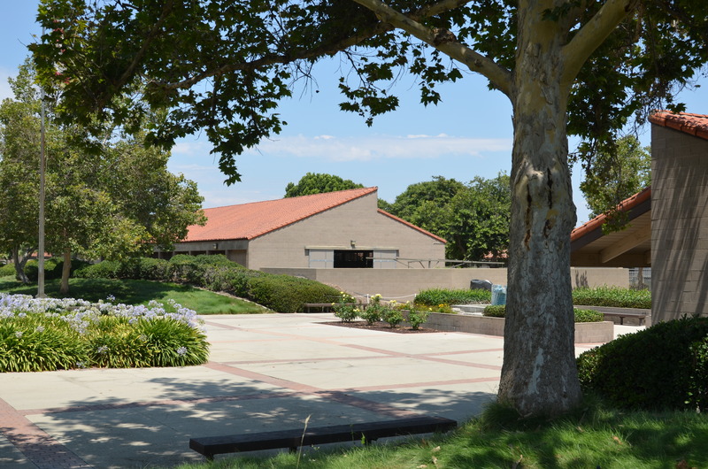 weanling barn framed by large tree in fron