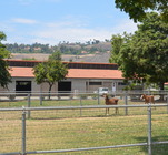 pastures & paddocks 1 icon