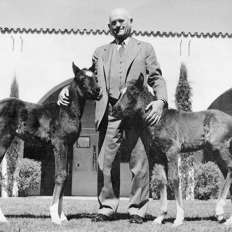 W.K. Kellogg and two Foals
