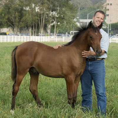 John Lambert with horse