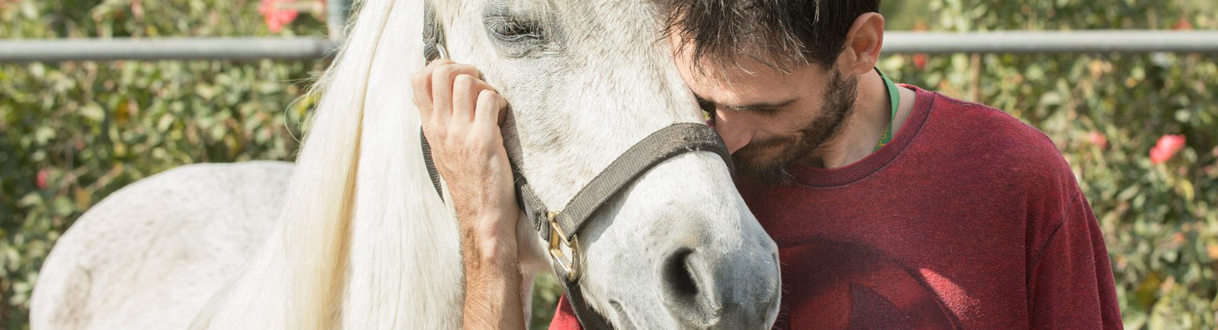 Man with horse