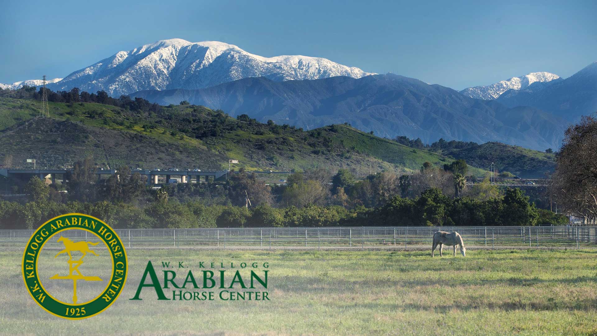 snowy mountains and horse - WK Kellogg Arabian Horse Center 1925