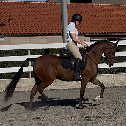 CP Ellaquence