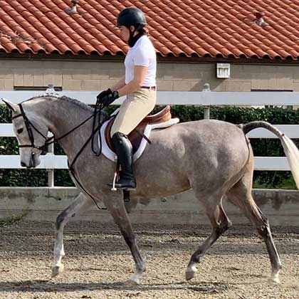 CP Tallulah