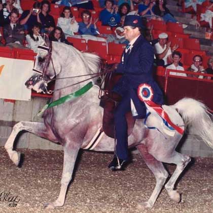 Reign On with male esquire at horse show