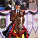 female rider on horse in show