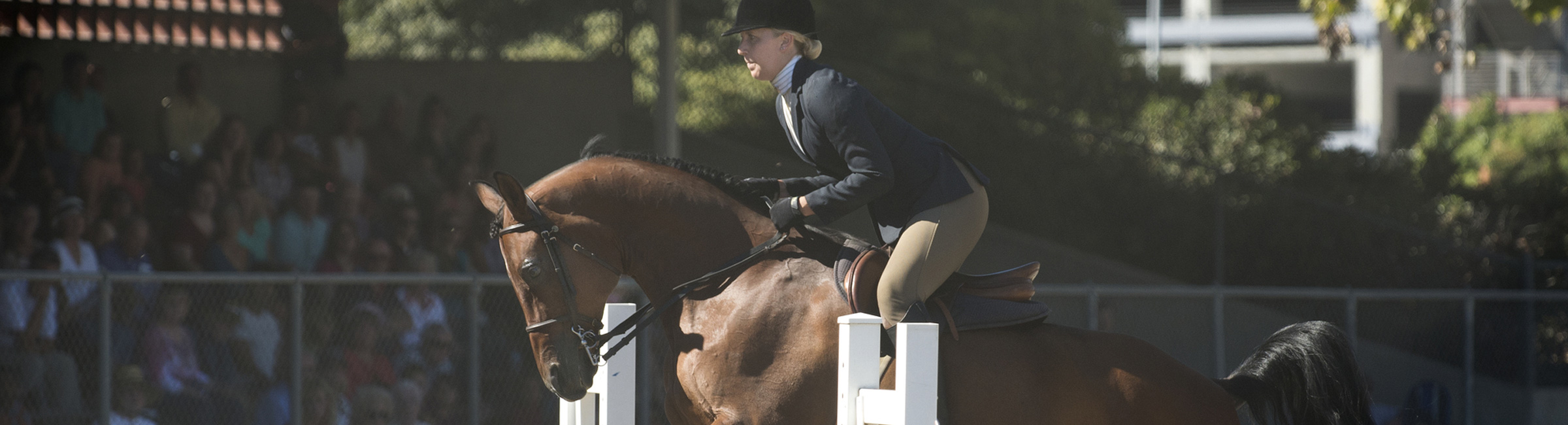 Female equestrian takes a jump with horse at a show