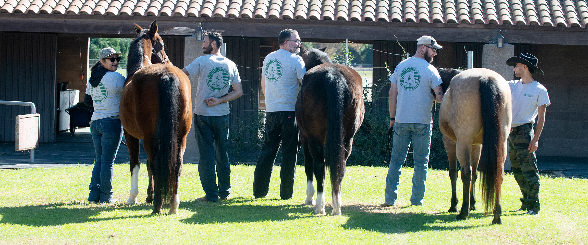 Horses for Heroes participants and their Arabian horses.