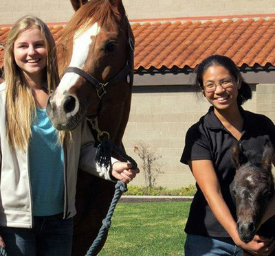 three female students with a foal and mare icon