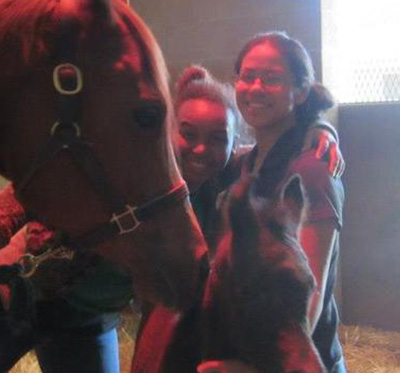 two students pose with a foal and mare smile for the camera icon