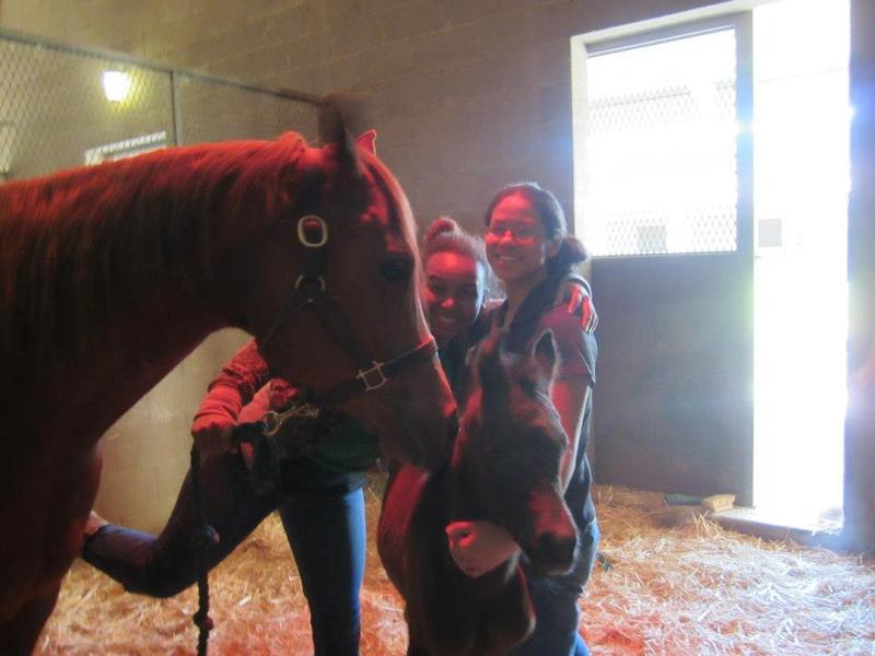 two students pose with a foal and mare smile for the camera