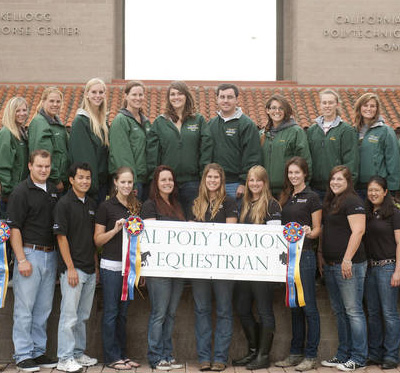 equestrian club icon