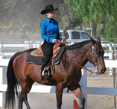 a woman in blue rides a horse icon