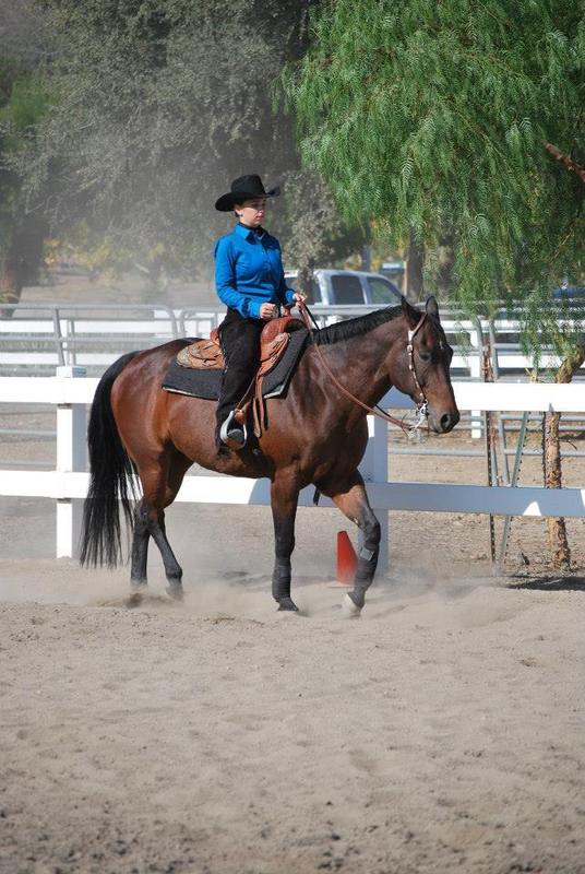 a woman in blue rides a horse 