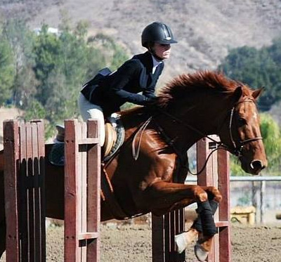 an equestrian woman takes a jump with a horse icon