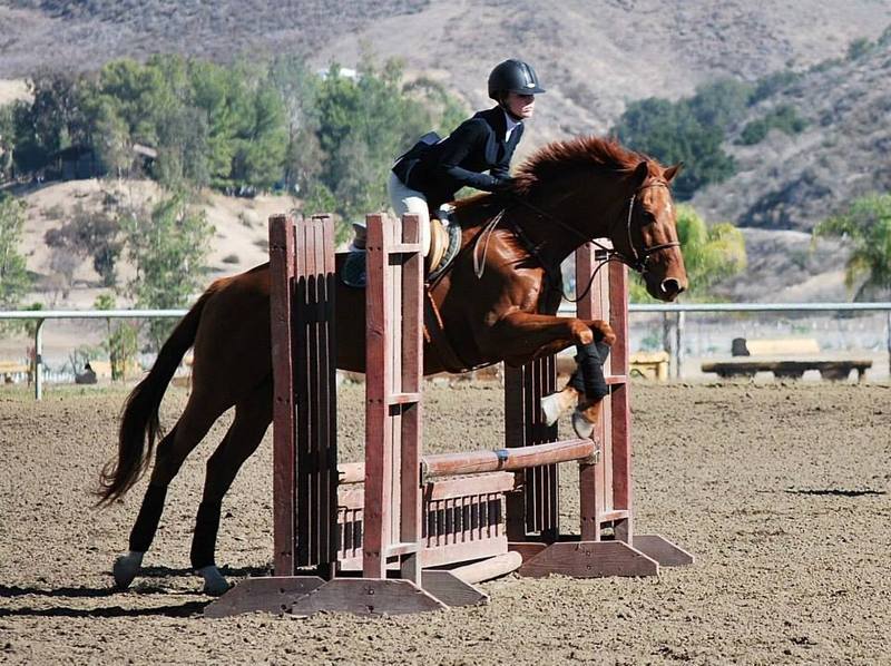 an equestrian woman takes a jump with a horse