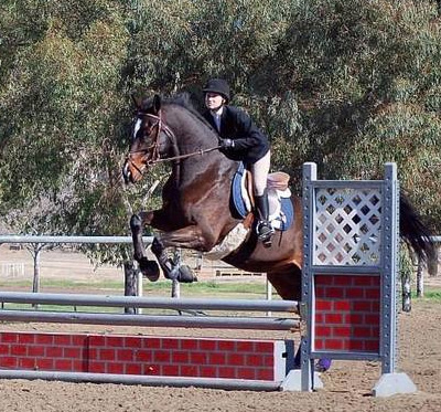 an equestrian woman takes a jump over a hurdle with a horse icon