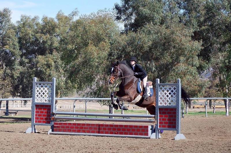 an equestrian woman takes a jump over a hurdle with a horse