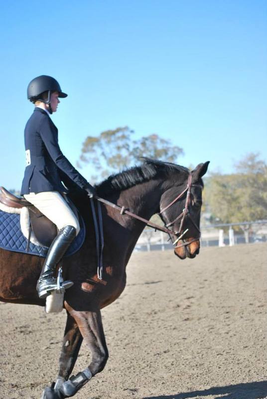 an equestrian woman rides a horse