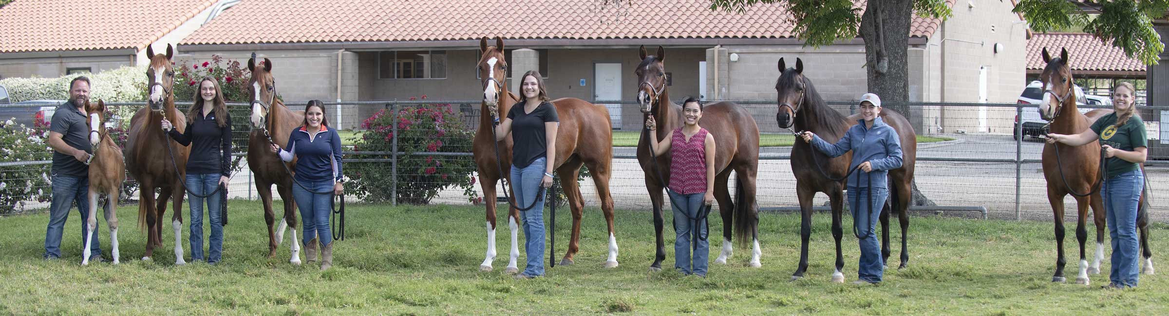 Student Horse Groomers
