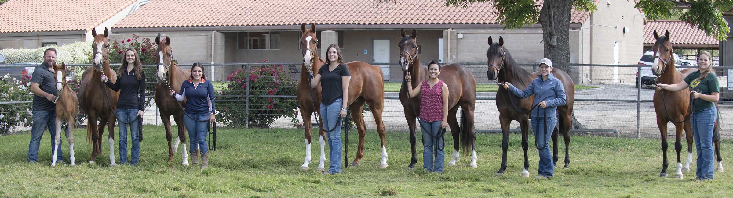 Student Horse Groomers