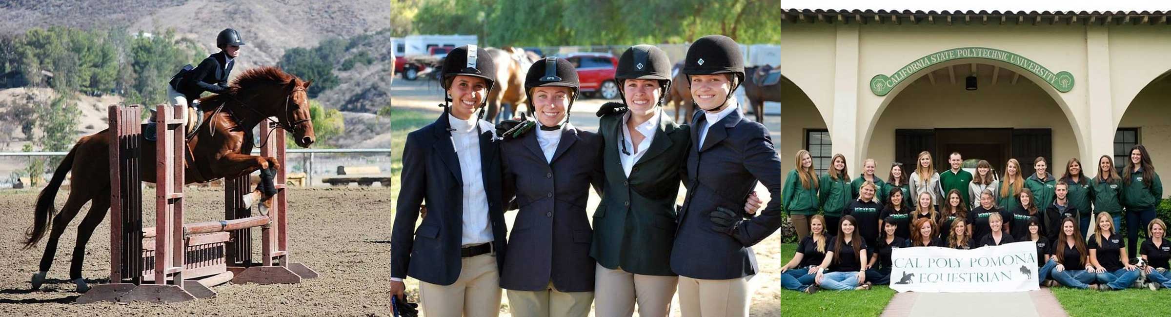 student equestrian clubs