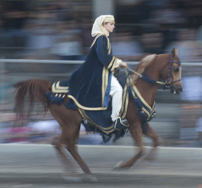 icon of Female equestrian moving fast on brown horse in front of audience which has been blurred by the motion
