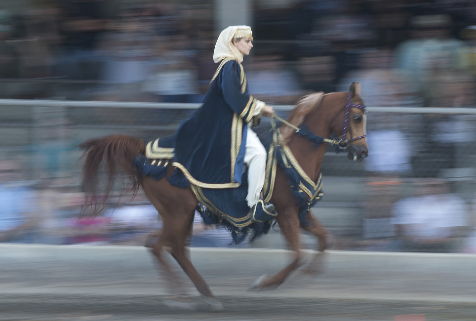 Female equestrian moving fast on brown horse in front of audience which has been blurred by the motion