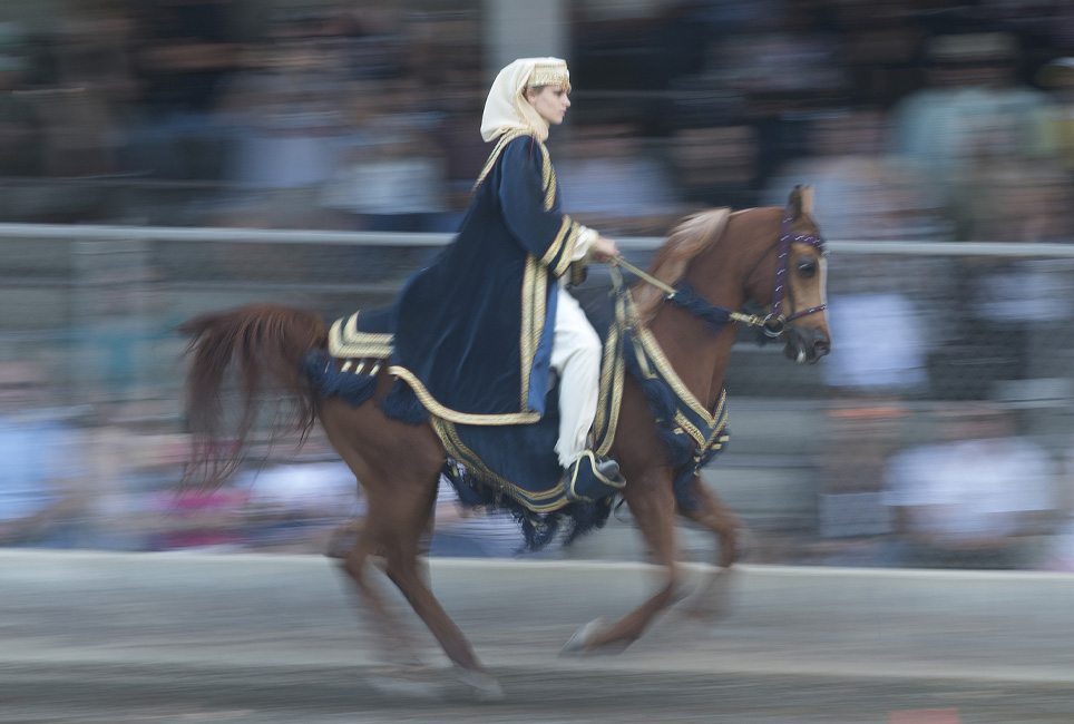 Female equestrian moving fast on brown horse in front of audience which has been blurred by the motion