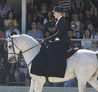 icon of Female equestrian slowly rides white horse in front of audience