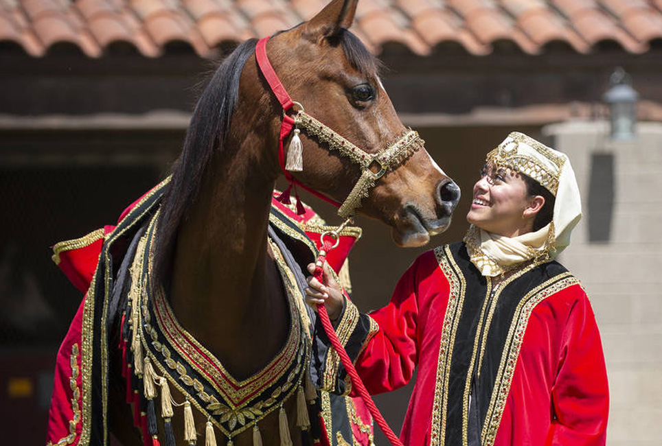 Female equestrian in red traditional attire next to her horse