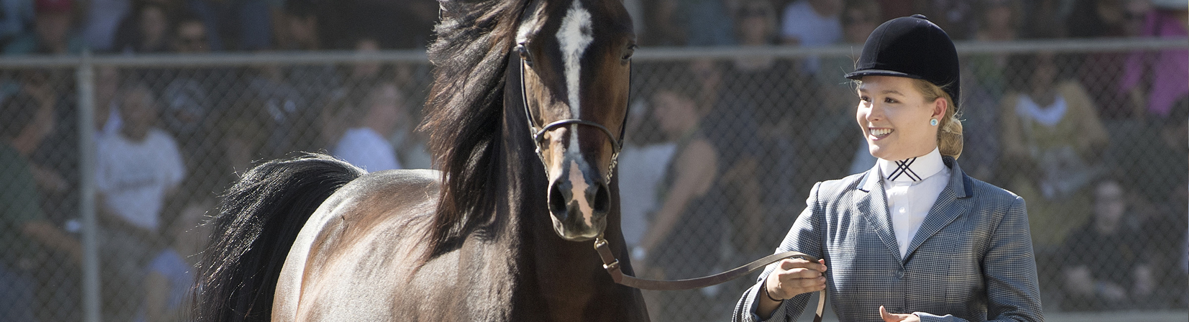 Female equestrian walking alongside horse