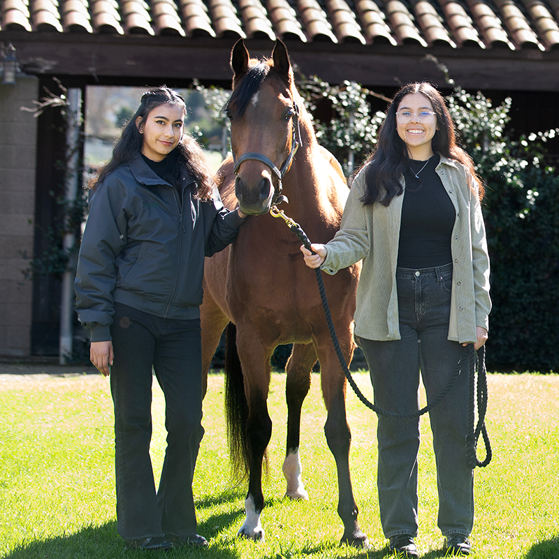 Equine research students 