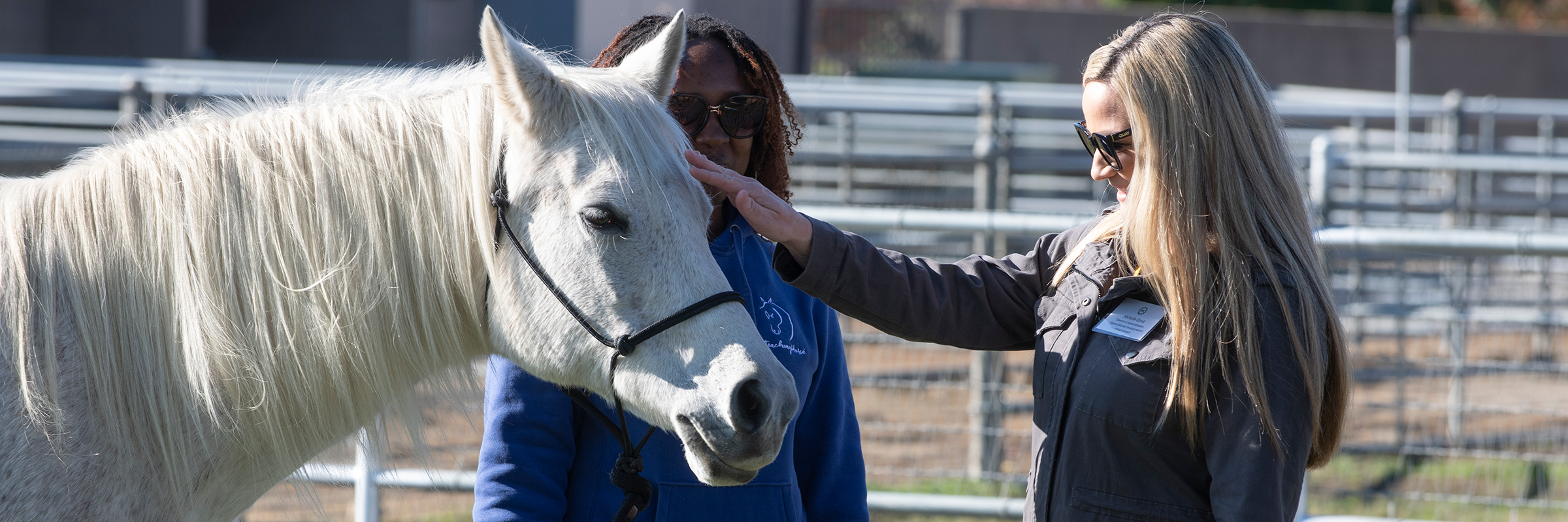 TeachingHorse Facilitator Michelle Elrod and an Arabian Horse