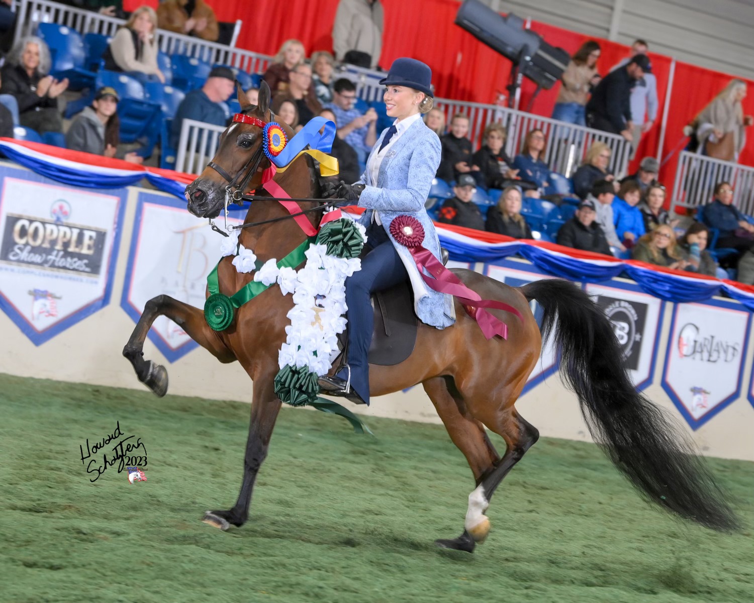 An Arabian horse in champion regalia trots with her smiling rider. 
