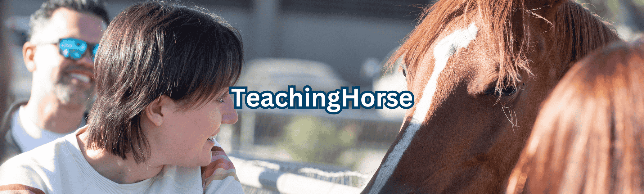 Teaching Horse Banner