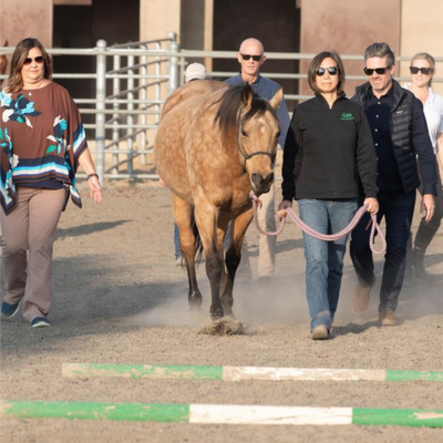 woman leading horse