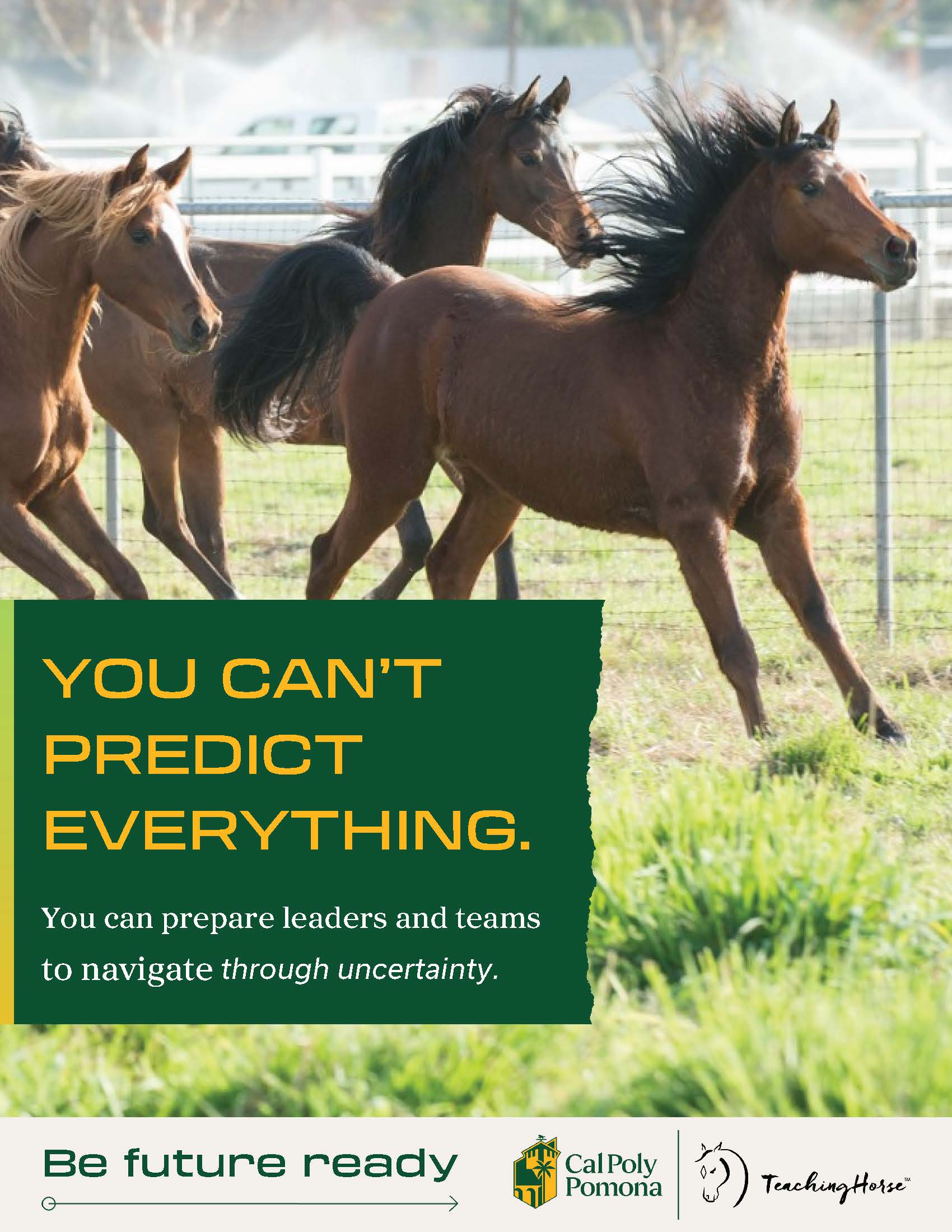 TeachingHorse offering: You Can't Predict Everything