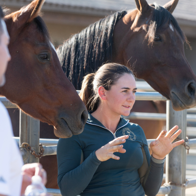 Teacher and two horses