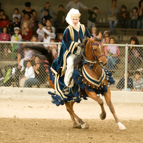 Campus Culture and Activities - Renaissance lady horseback riding
