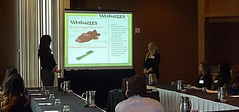 Whimzees presentation