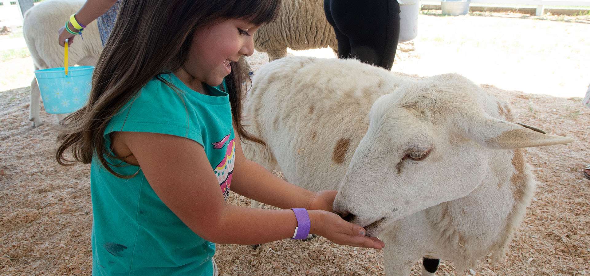 A girl pets a goat