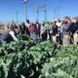Students learn about artichoke farming in the Western Growers' Careers in Ag Tour